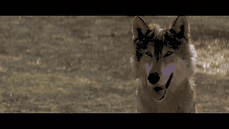 解密美国黑暗一面的纪录片,奥斯卡电影真实历史