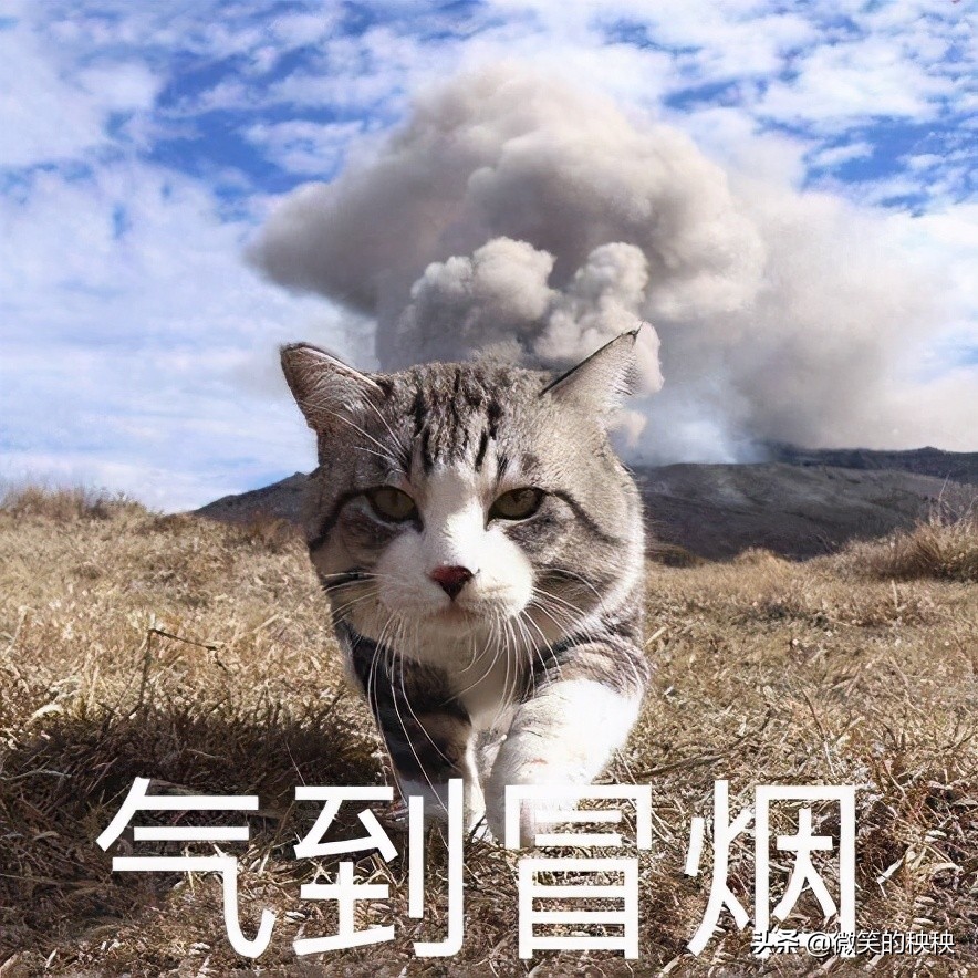 10年战痘博主教你成功战痘,战痘十年的感悟