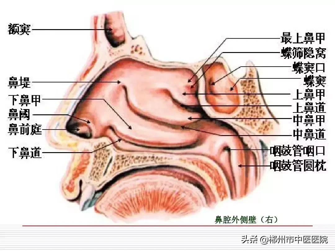 儿童患过敏性鼻炎怎么办,宝宝患过敏性鼻炎怎么办