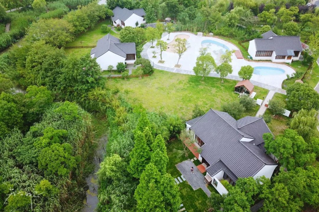 三月赏花一日游上海景点,本月上海赏花一日游最佳去处