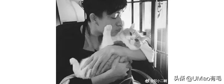 铲屎官别怕猫咪来保护你,猫咪对铲屎官的占有欲