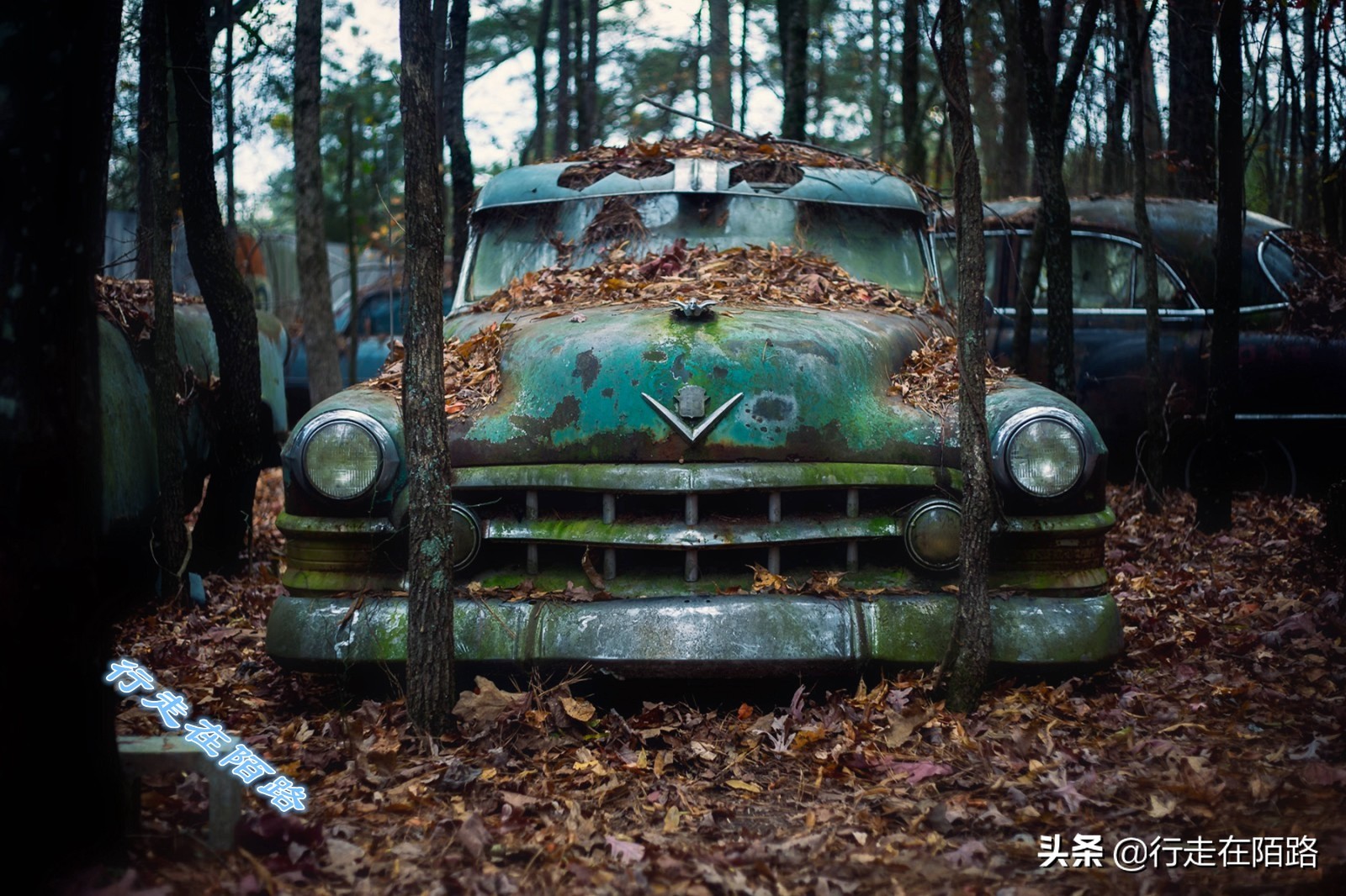 最值钱的废品,最值钱的废品回收