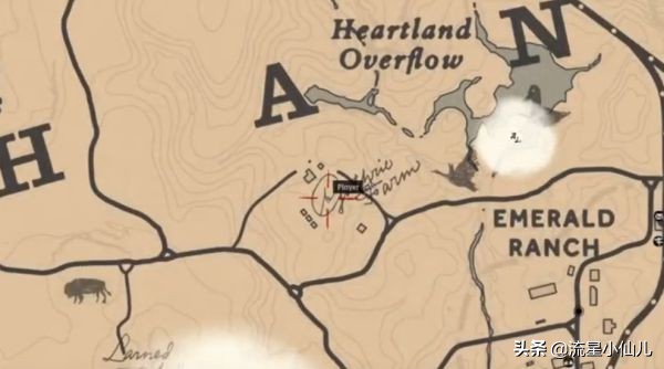 荒野大镖客捡的帽子怎么保存,荒野大镖客打掉三个人的帽子