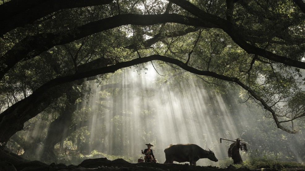 五格剖象起名法的由来是什么样的,取名用五格剖象法比较适用