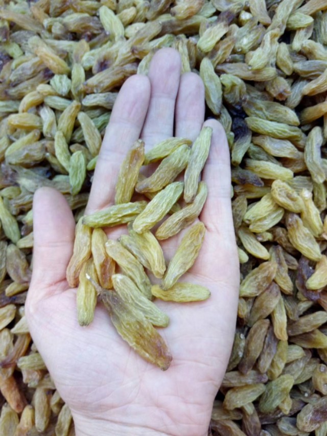 朋友们*疆新**的葡萄*你干**们知道有多少种吗？