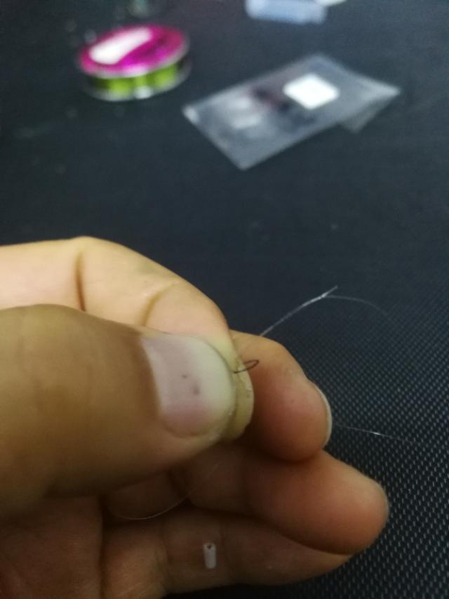 钓鱼专钓小鱼,世界钓鱼之旅钓大鱼