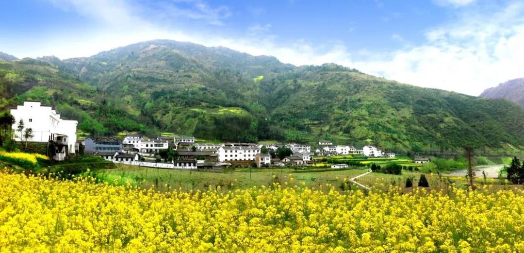 乡村振兴存在的问题和经验,乡村振兴的成功经验与启示