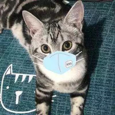 疫情中的替代性创伤,疫情替代性创伤