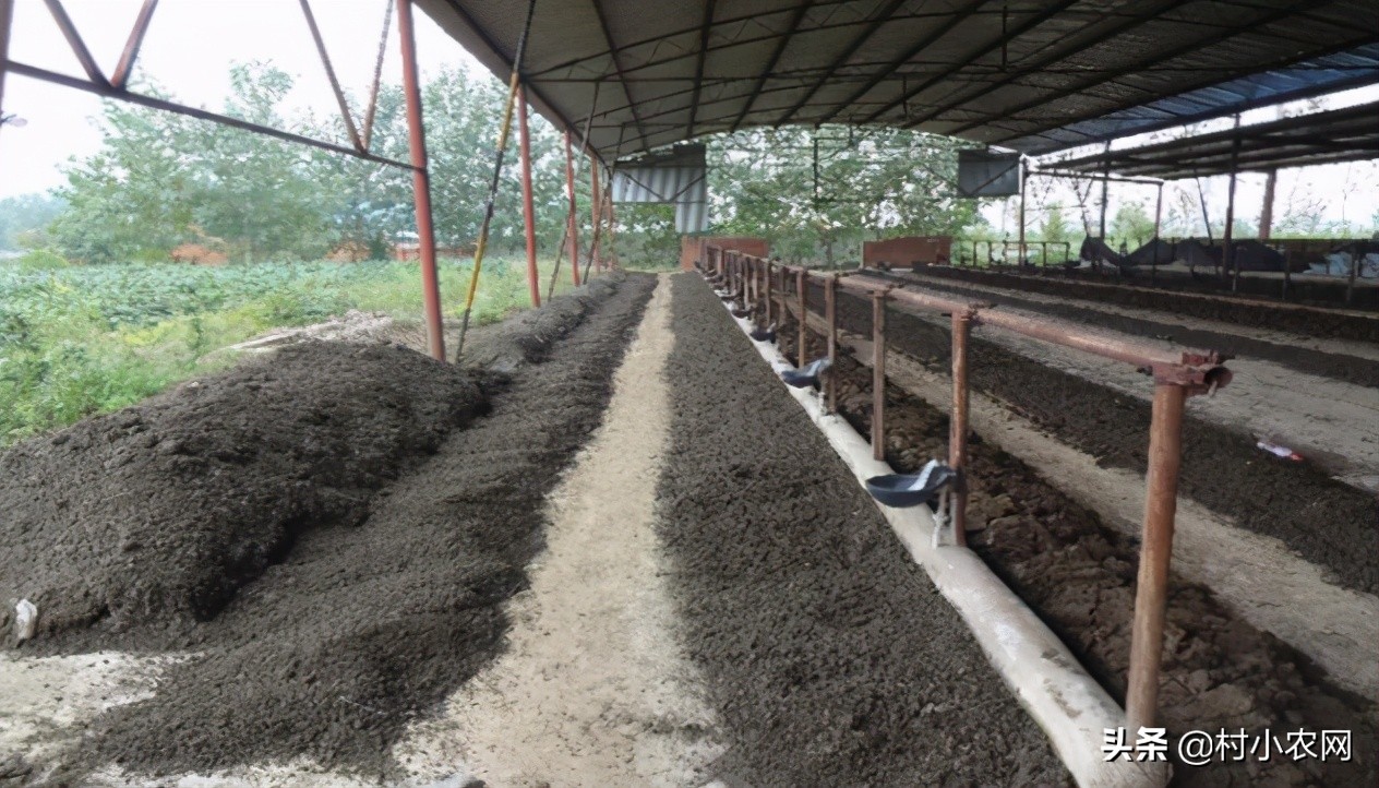 适合农村创业养殖项目有哪些,在农村创业养殖项目怎么做