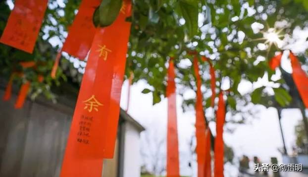 江苏旅游西山岛攻略图文,内湖洞庭西山岛