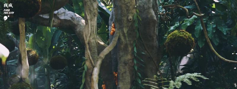 南宁人去隆安玩,南宁人去柳州玩