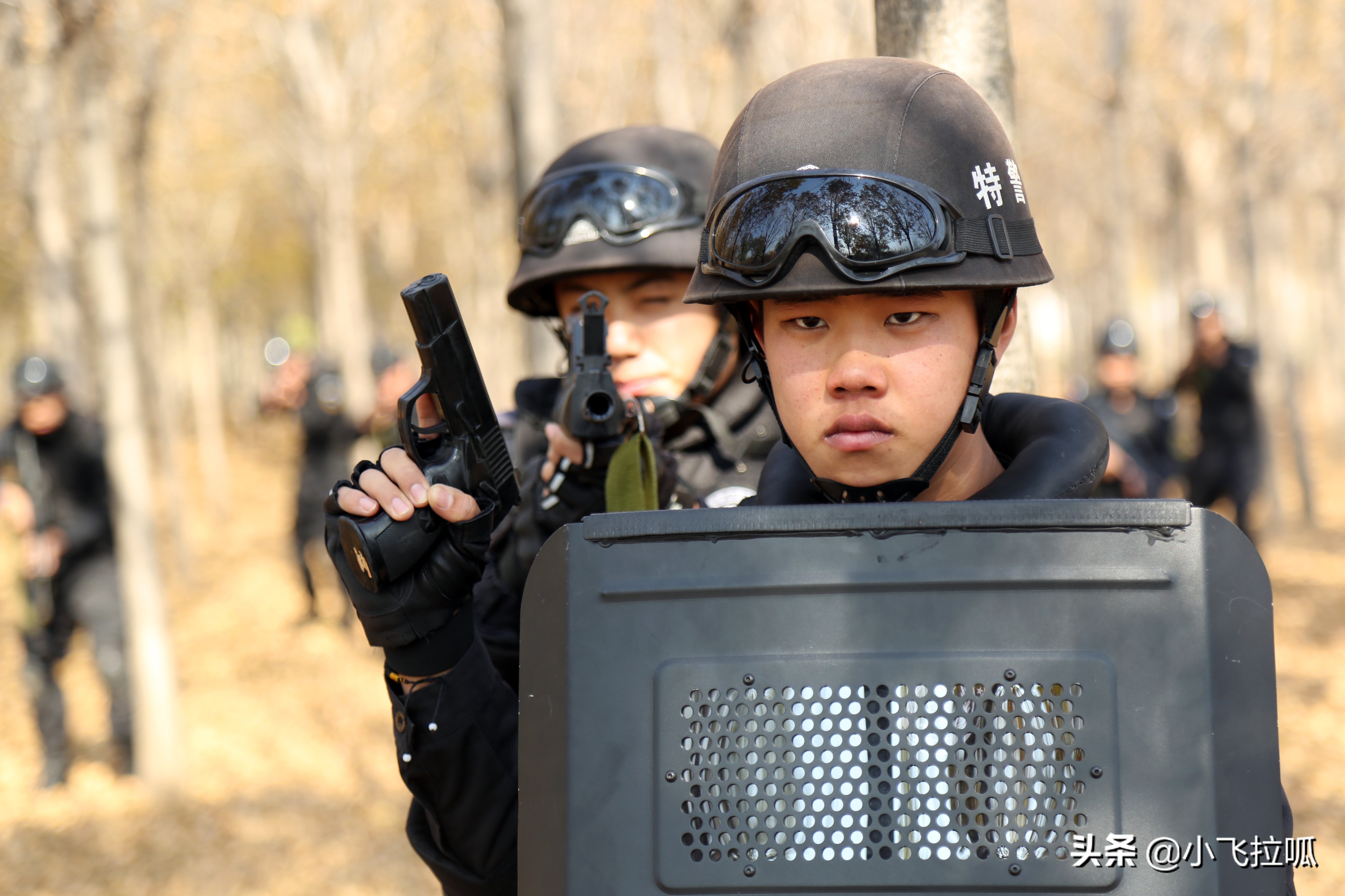 东营金盾司法警官学校,山东东营金盾司法警官学校怎么样