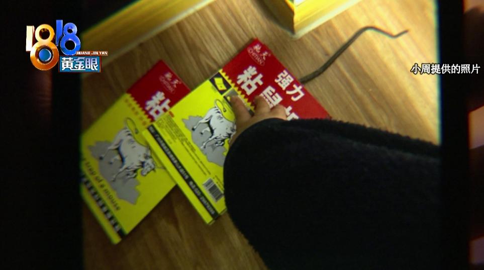 鍑虹灞嬩笌鑰侀紶鏂楁櫤鏂楀媷,濂崇敓瀵濆涓婃紨浜洪紶澶ф垬