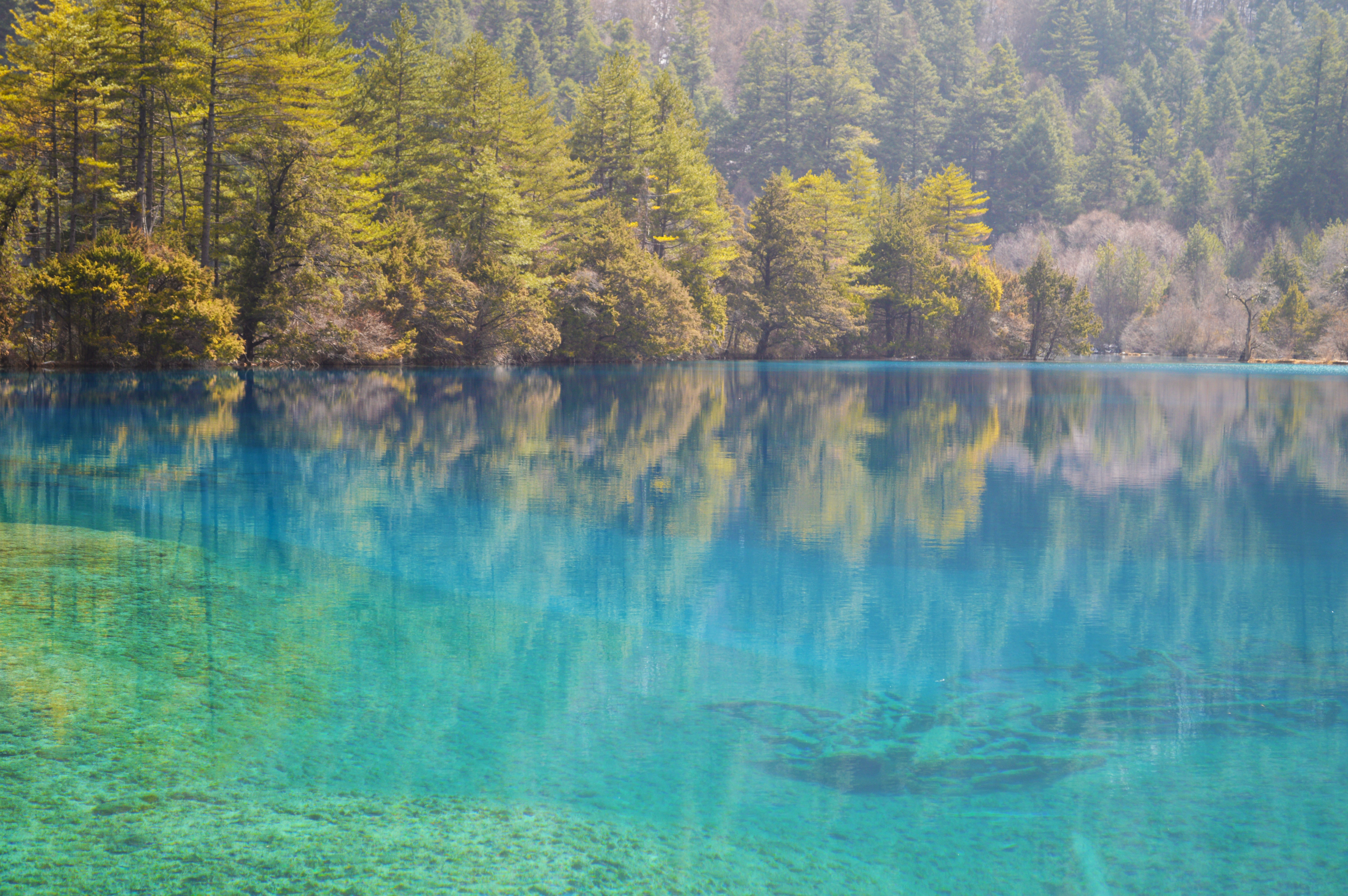 九寨沟震后最美景点开放了吗,九寨沟地震珍贵景点