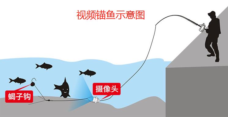 大快人心抓捕现场视频,大快人心刑拘视频