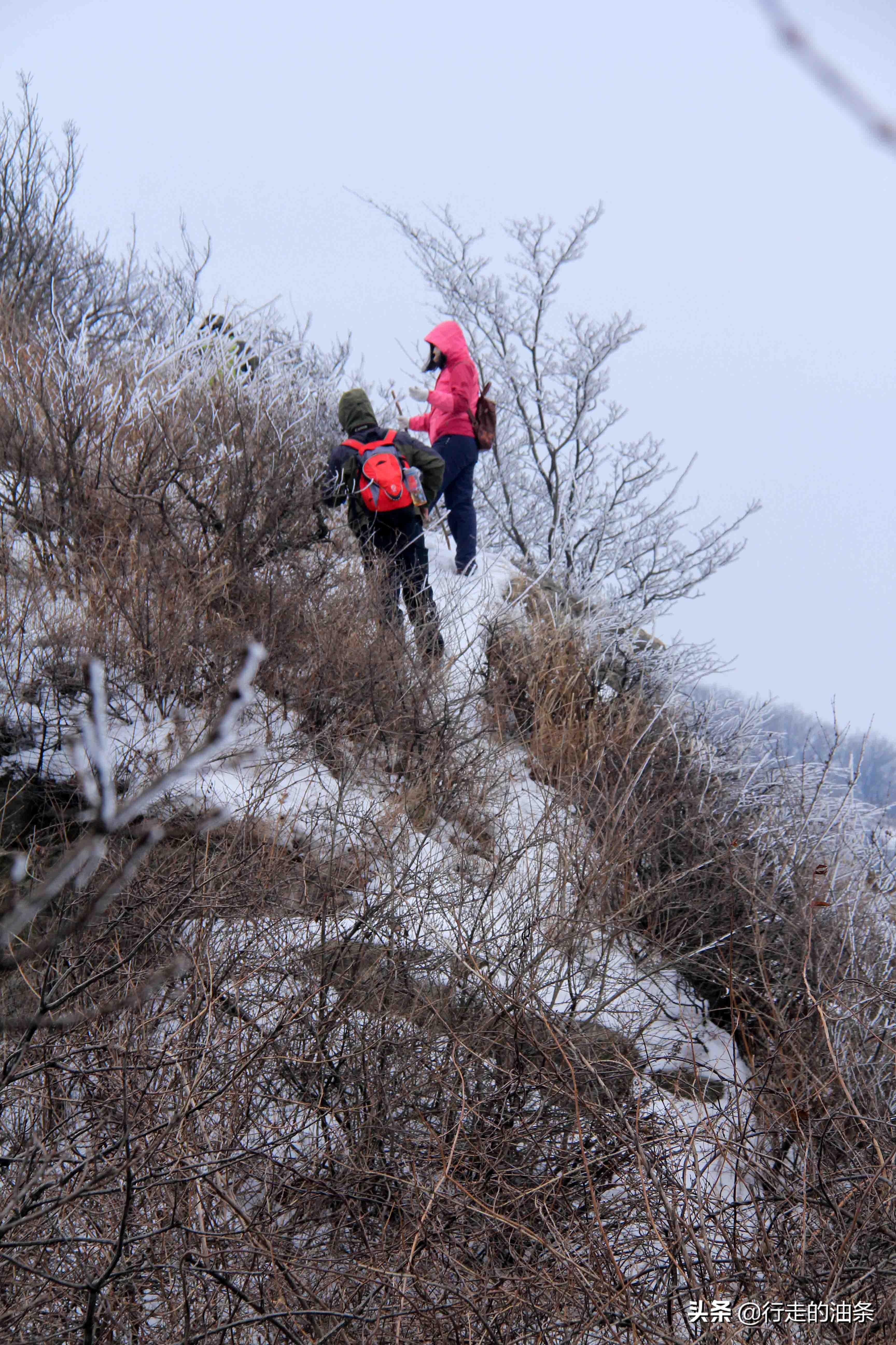 雪山迷路,雪山里迷路