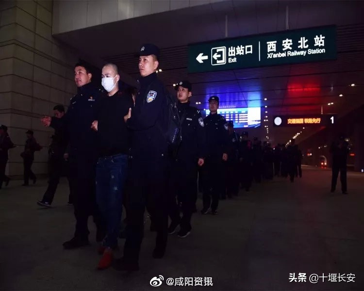 案值超10亿，产品销全国！网售假烟大案告破