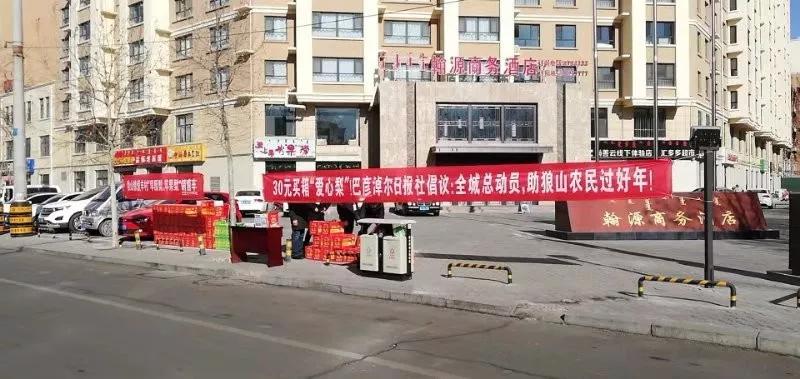 巴彦淖尔滞销梨,巴彦淖尔梨