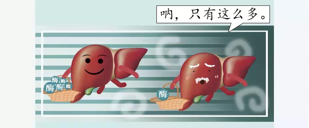 真相酵素是包治百病的神药吗,揭秘酵素的真面目