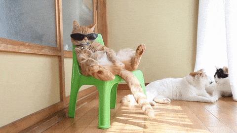 做好这几点远离呼吸道疾病,做好这八点让你轻松管理