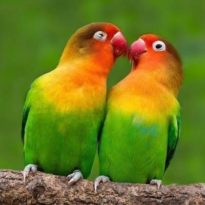 快40岁了还没老婆怎么办,今年40了还没老婆怎么办