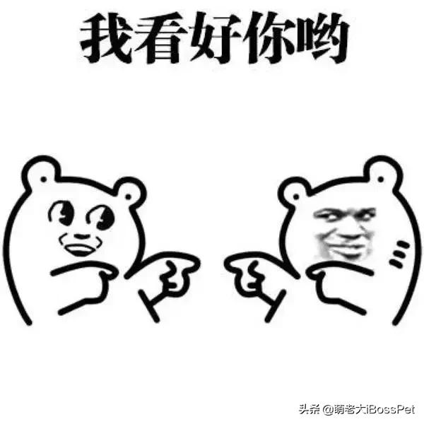 抱猫咪的正确方法,猫咪怎么抱才是正确方式