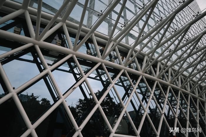 复古相机新选择尼康zfc上手体验,尼康fm2顶级功能