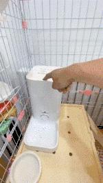 鱿鱼墨鱼乌贼八爪鱼章鱼的区别,墨鱼与鱿鱼章鱼八爪鱼有什么区别