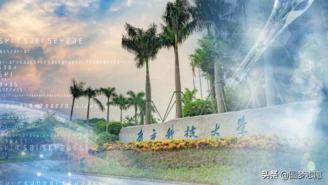 211大学和南科大怎么选,南方科大是双一流吗