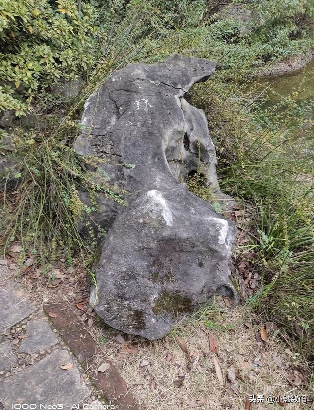 iqooneo7骁龙版评测,iqooneo3手机详细评测