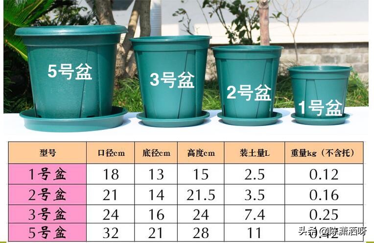 常见花卉花盆图片大全,各种花盆的优缺点图片介绍