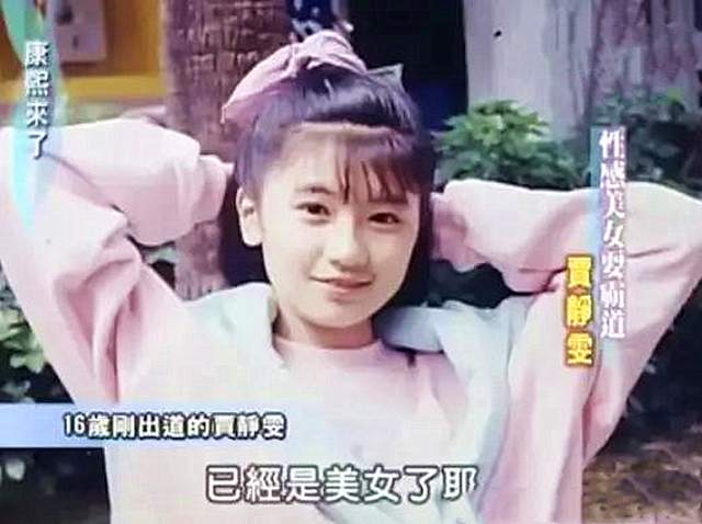 刘德华评价贾静雯视频,刘德华评价贾静雯康熙来了