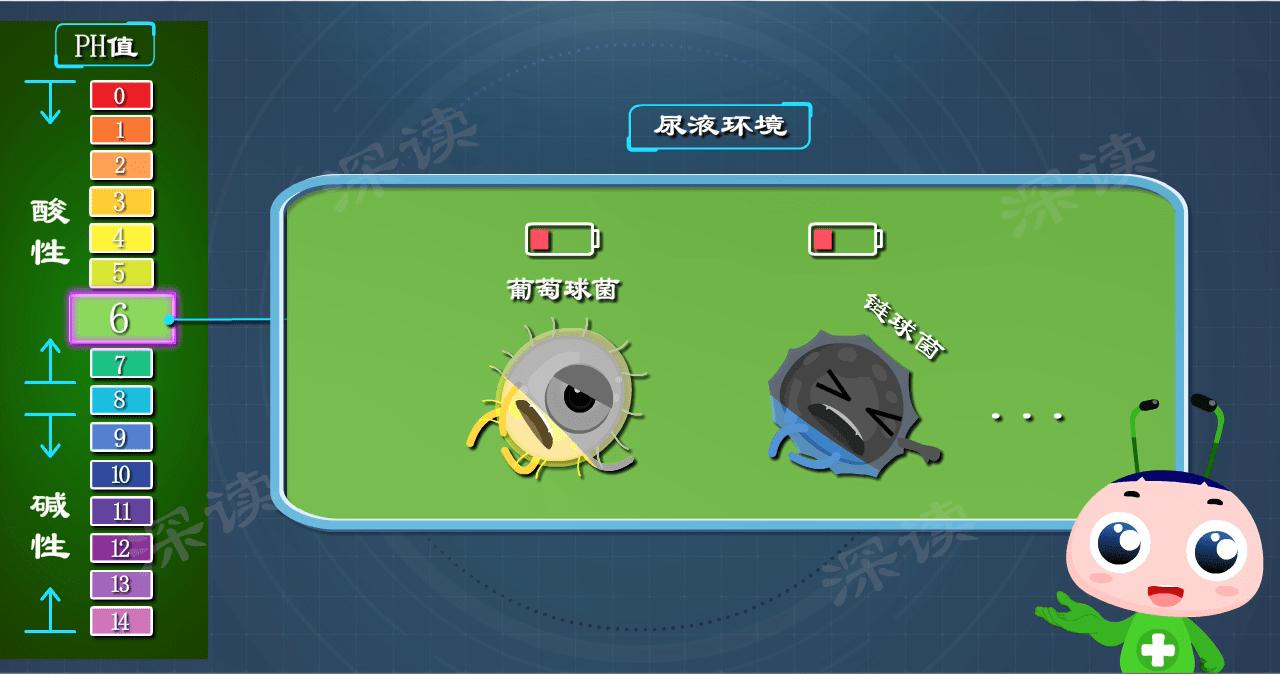 穿错内裤了怎么办,穿错内裤会得什么病