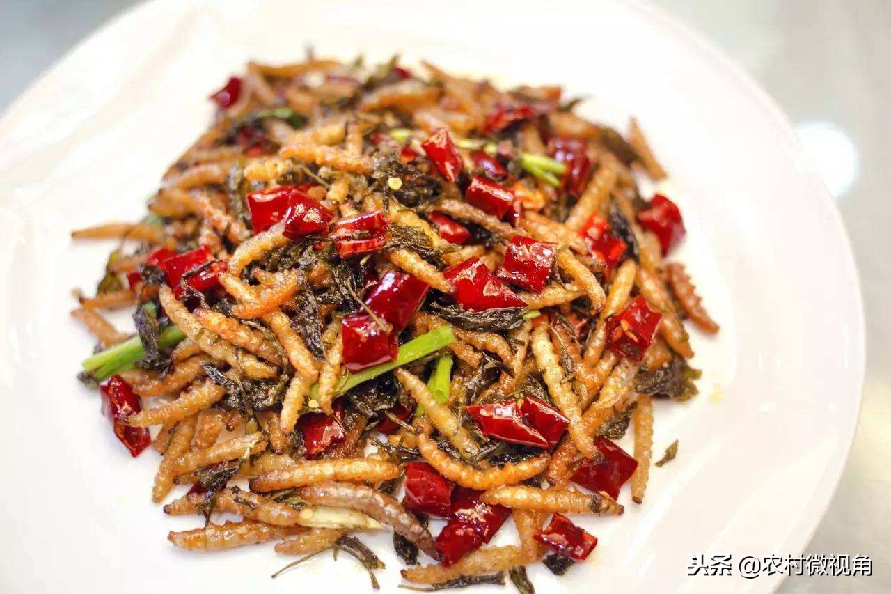 农村田间致死的虫子叫什么,地里害虫消灭的同时蚯蚓会死吗