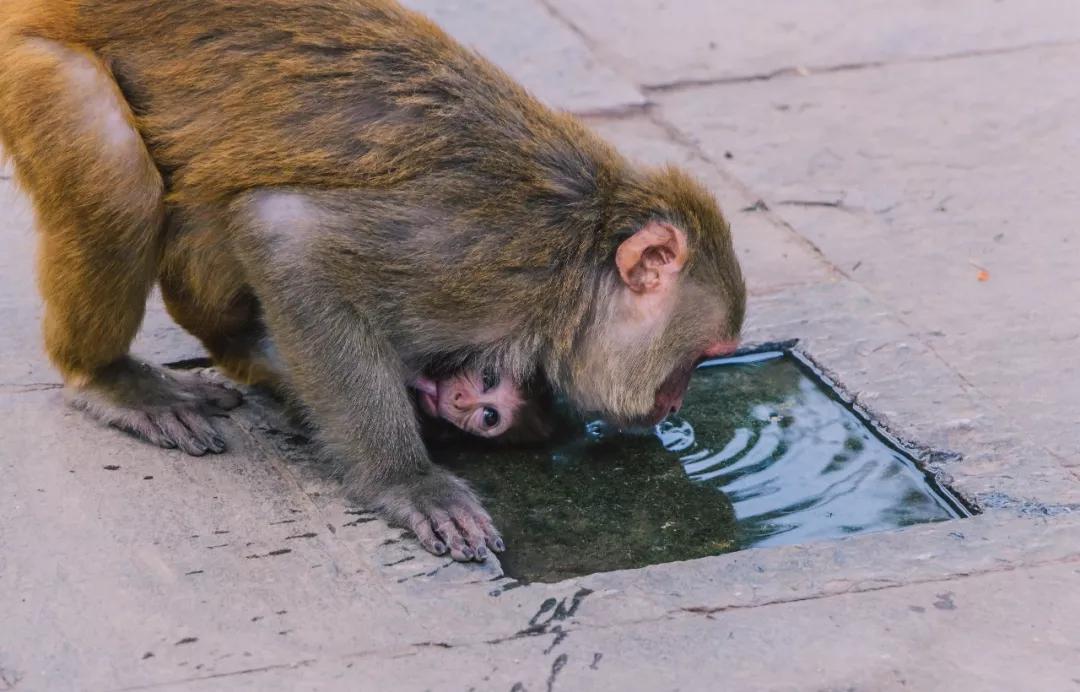 这个微笑国度，见人就夸漂亮，300元就能在天空滑翔