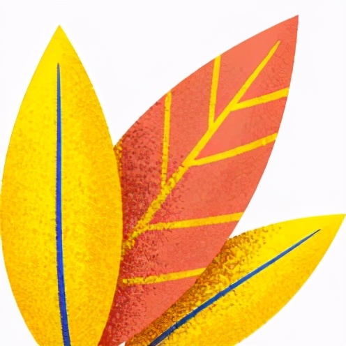 足球训练营招生报名体育中心,足球训练培训机构加盟