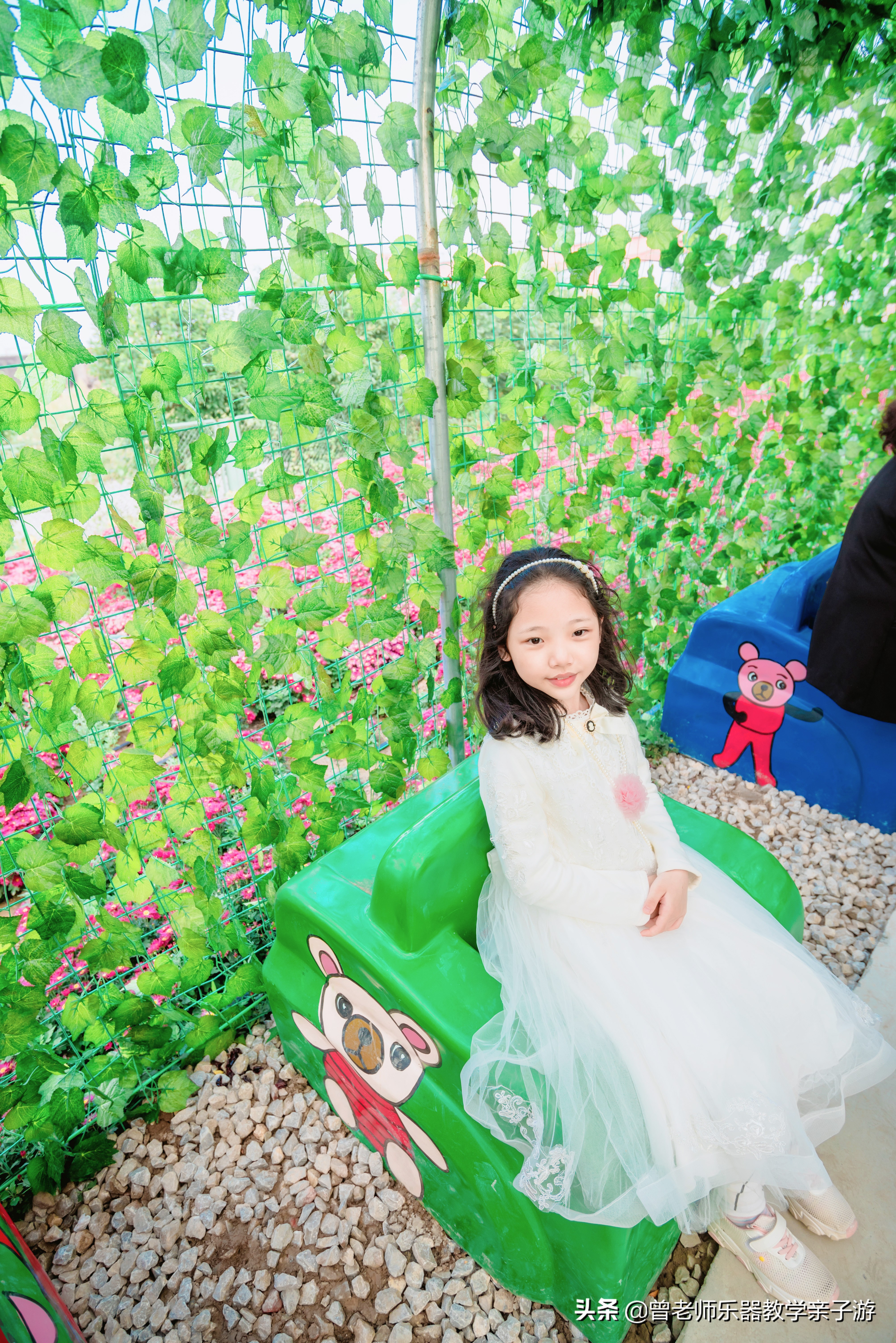 爱菊研学游,爱菊丝路文化菊花园西安