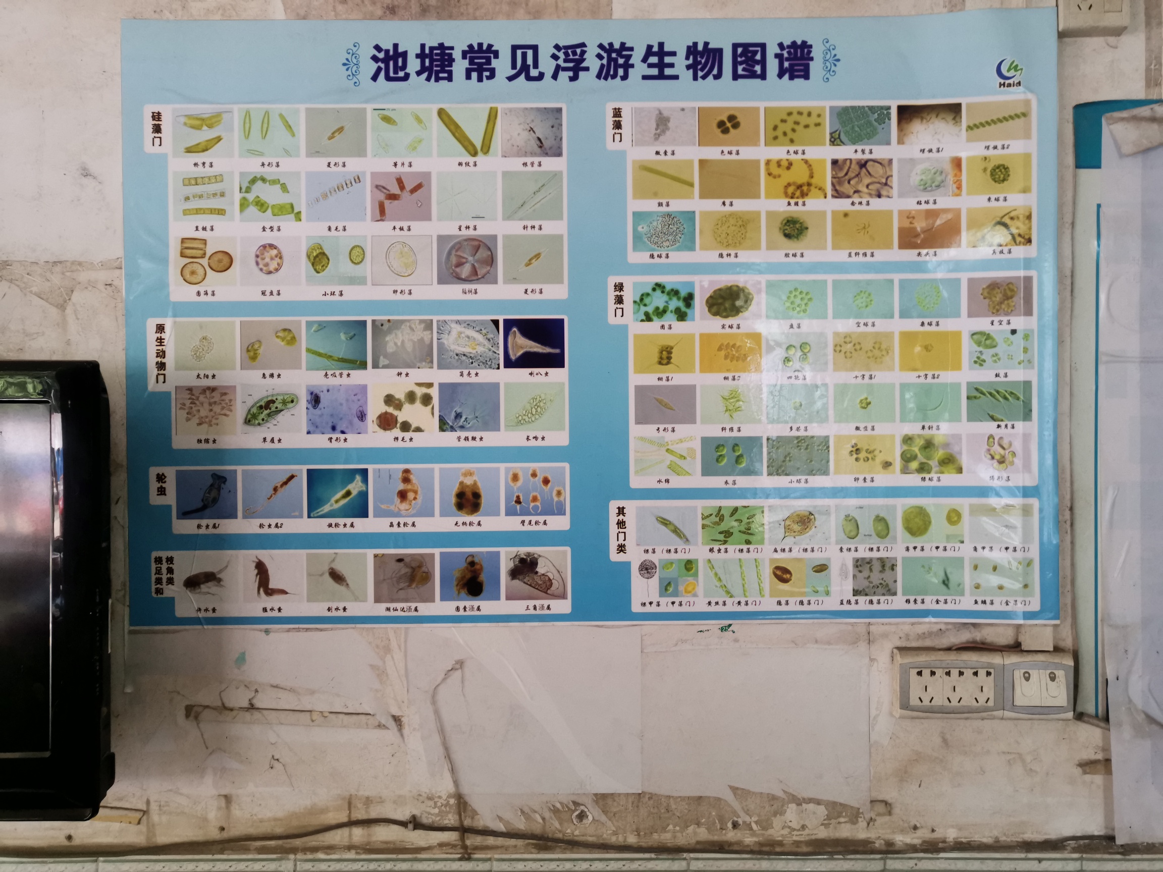 臭水沟水如何净化,臭水不臭怎么办