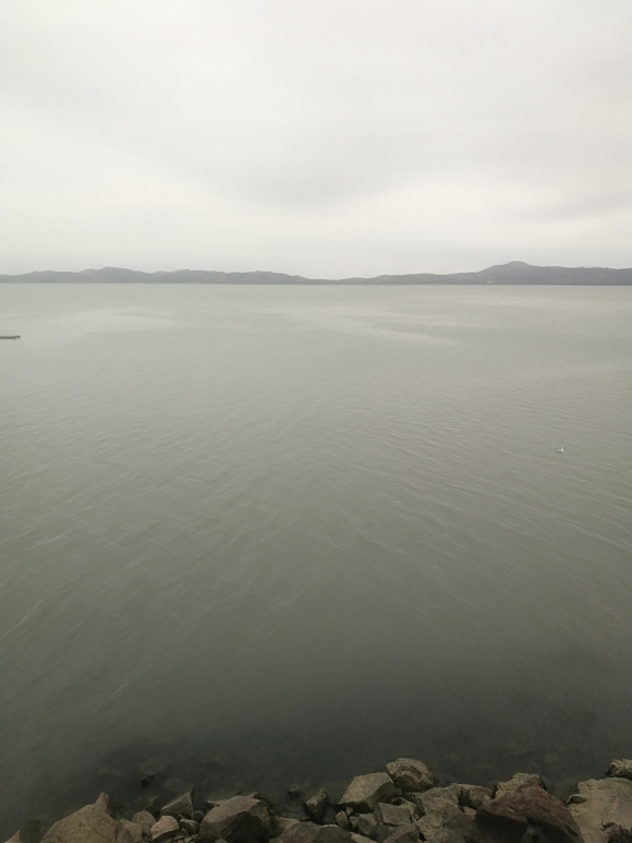 射鱼违法吗,射鱼违法怎么处罚