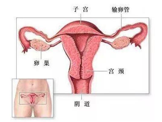 宿迁同仁医院最新消息,宿迁市同仁医院怎么样