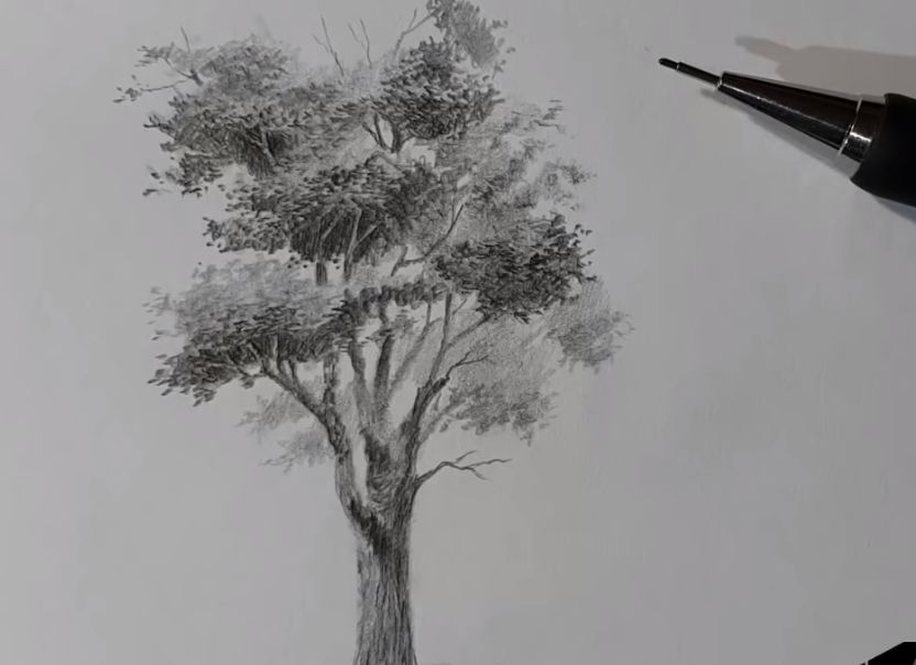 素描风景画基础教学,素描画法风景基础教程