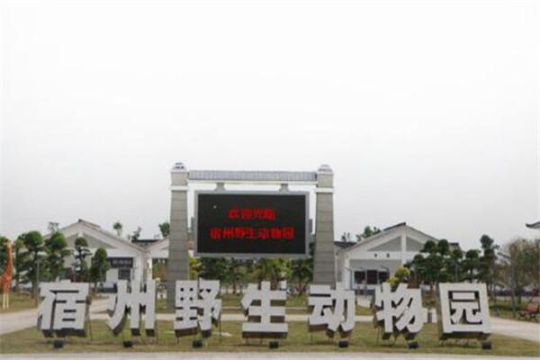 宿州灵璧虞姬街,宿州一日游必去的景点