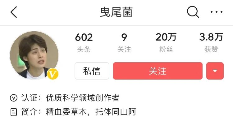 她让20万人爱上一种菌：像西米露，又似咸蛋黄，网友直呼太神奇