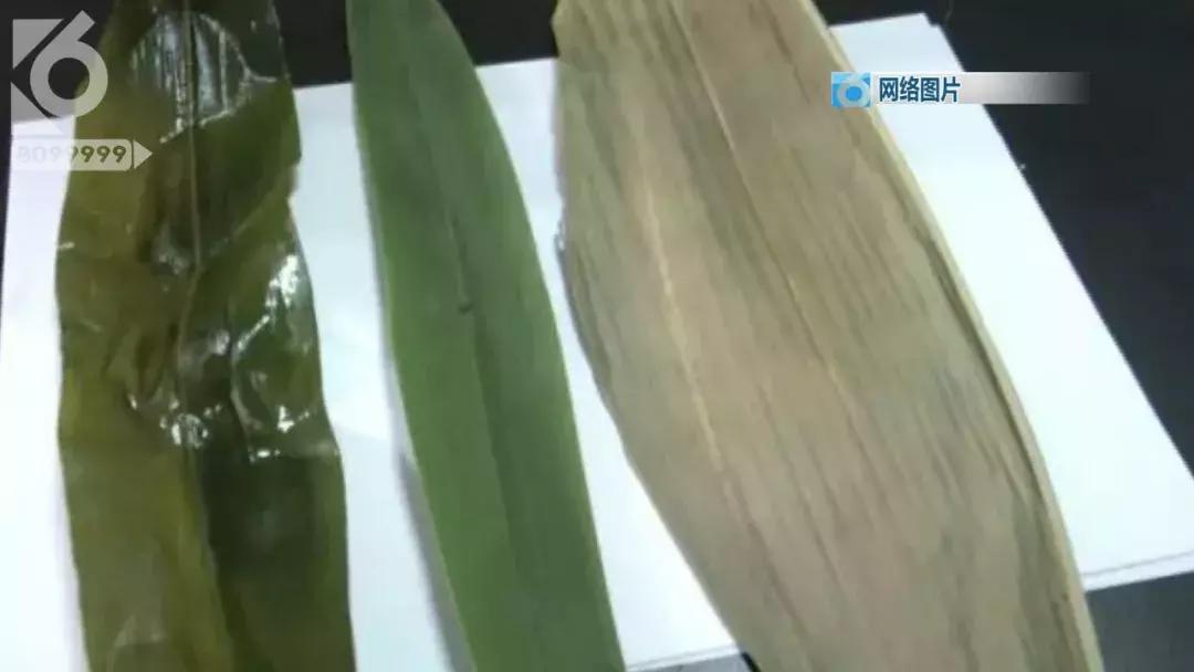 网传干粽叶“回春”*法大**绿绿毒粽叶如何鉴别篆新买菜大妈亲自教你