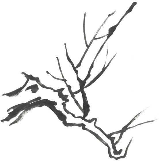 国画梅花上的雪画法步骤教程视频,零基础国画入门画梅花教程