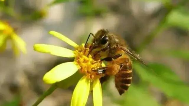 农村的俗语大家听过多少,农村老一辈留下来二十四句老俗语