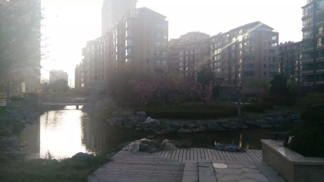 威海悦海世家海景房,威海悦海世家多少钱一平