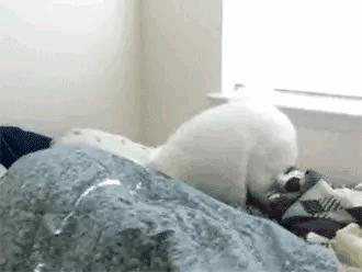 睡了很久还是很困？睡眠专家提醒：小心这6种常见病，很多人都有