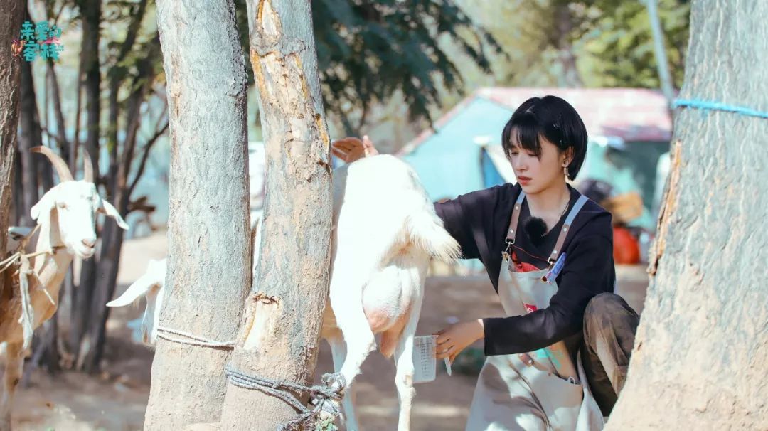 亲爱的客栈3沙漠取景,亲爱的客栈3拍摄地方