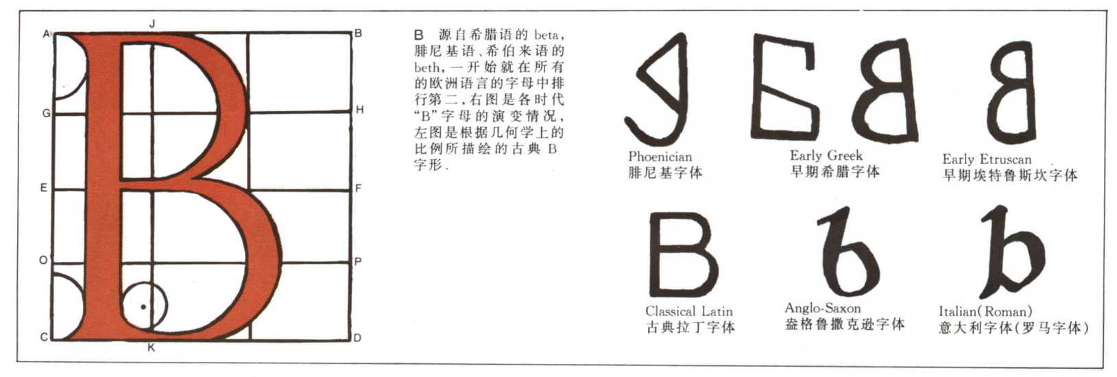 英文字母的演变示意图,26个英文字母读法视频教程